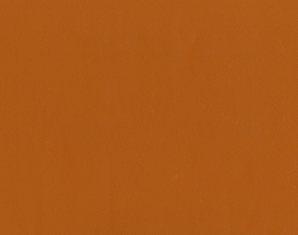 Grade 3 - Challenger Pumpkin Spice
